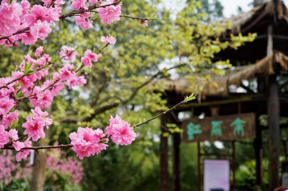 自贡市自流井区尖山。自贡市文广旅局供图