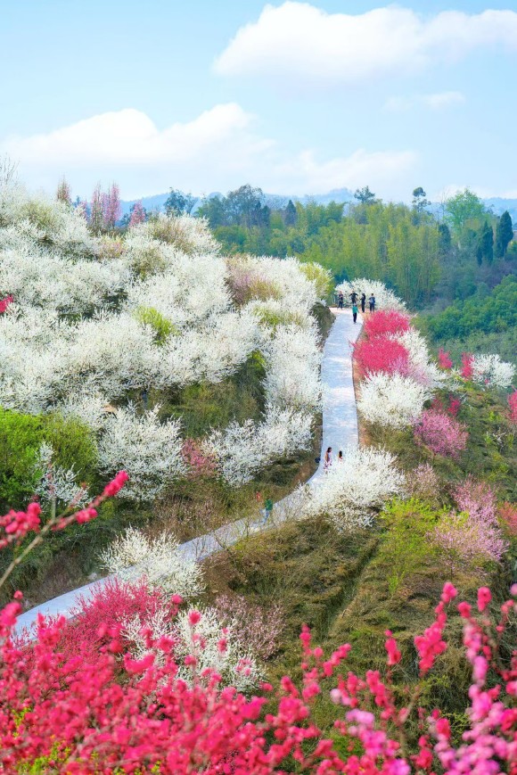 自贡市大安区牛佛镇。自贡市文广旅局供图