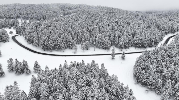 仙女山雪景。重庆武隆旅游产业（集团）有限公司供图