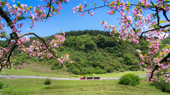 仙女山。重庆武隆旅游产业（集团）有限公司供图