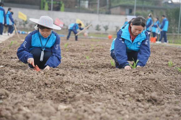 学生在津地禾农耕学堂体验种植乐趣。江津区委宣传部供图 第1眼TV-华龙网发
