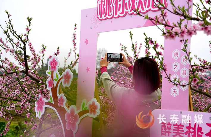 游客打卡邻封镇青观村300亩桃花园。特约记者 王凤祥 摄