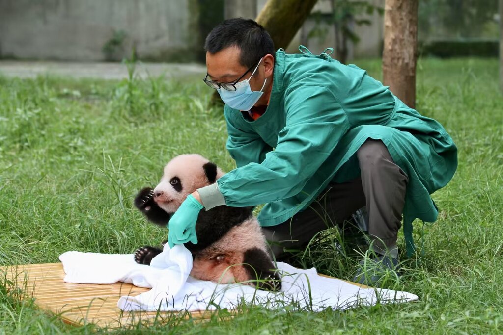 “中国好人”候选人 重庆建议人选