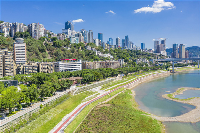 渝中區(qū)深入開展水岸線生態(tài)修復(fù)和景觀提升，修復(fù)消落帶74萬平方米，完成40余萬平方米坡坎崖修復(fù)治理。渝中區(qū)生態(tài)環(huán)境局供圖 第1眼TV-華龍網(wǎng)發(fā)