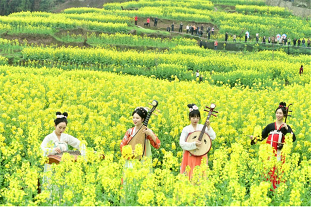 庙垭乡油菜花田盛景。武隆区庙垭乡供图