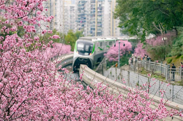 开往春天的列车。王欢 摄