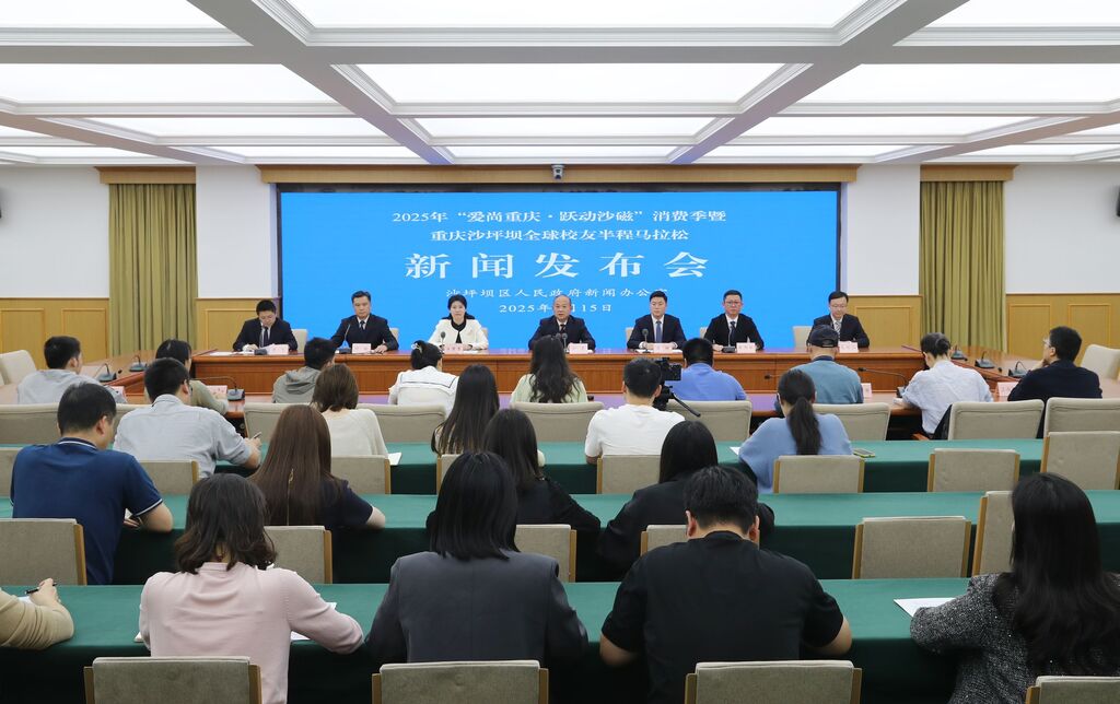 新闻发布会现场。沙坪坝区委宣传部供图
