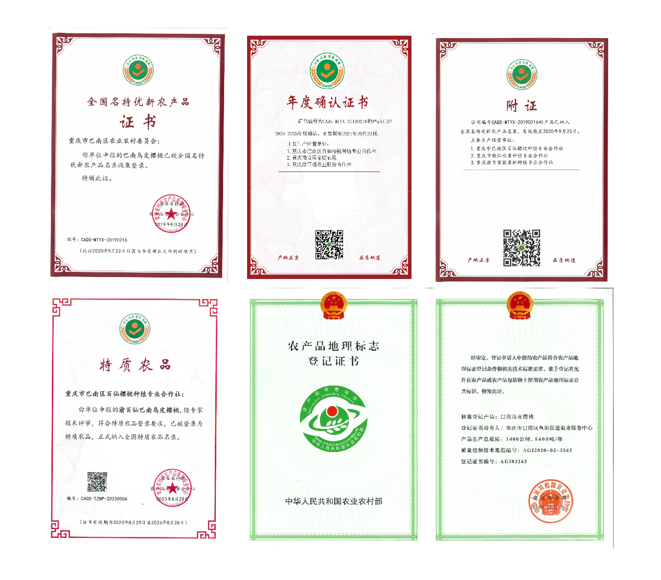 图片5