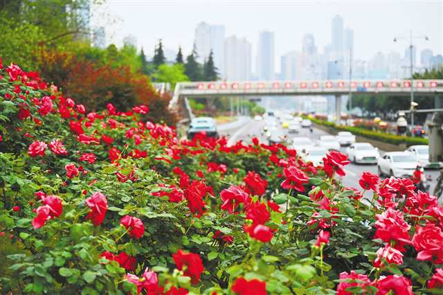 花路