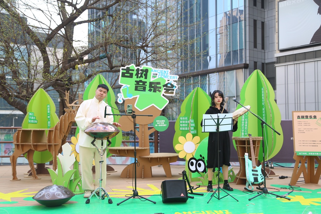 古树音乐会现场。重庆市林业局供图