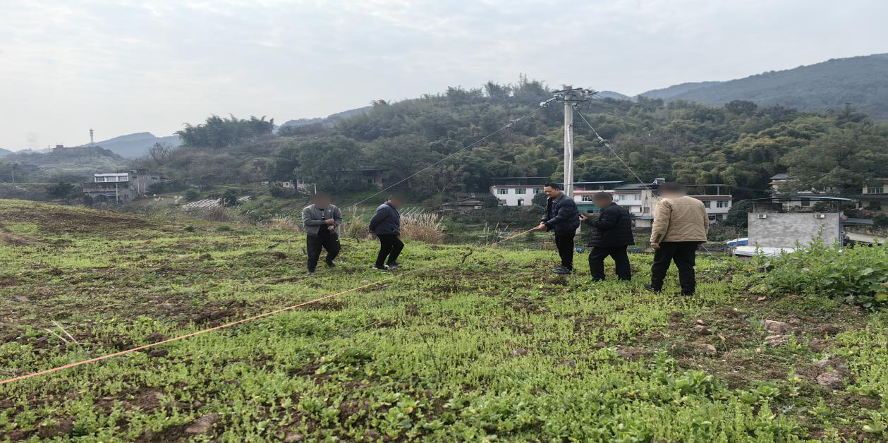深入调查,多方协调