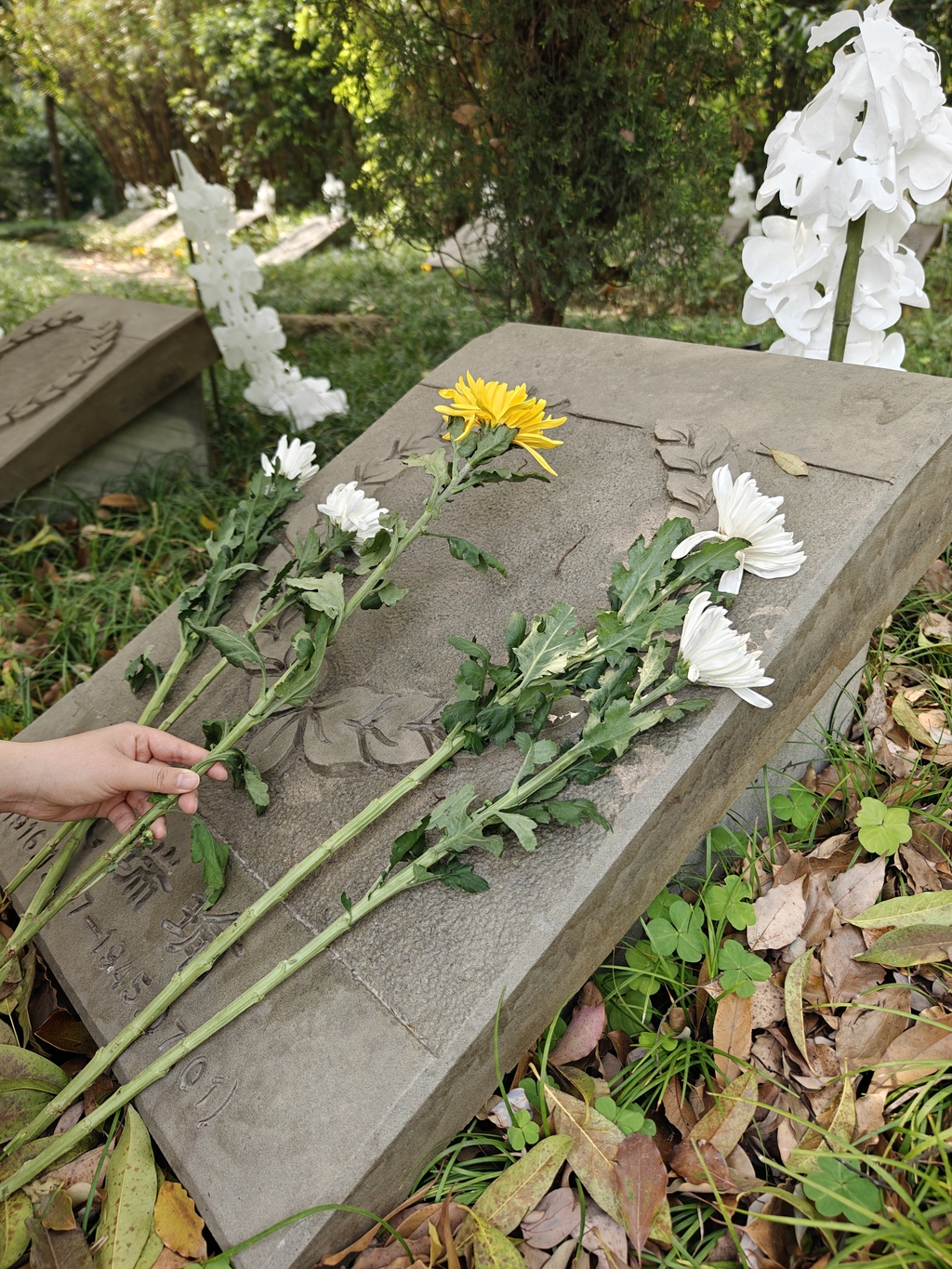 image003