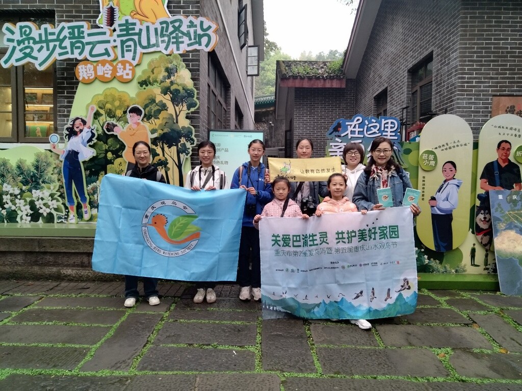 重庆第五届山水观鸟节。主办方供图 第1眼TV-华龙网 发