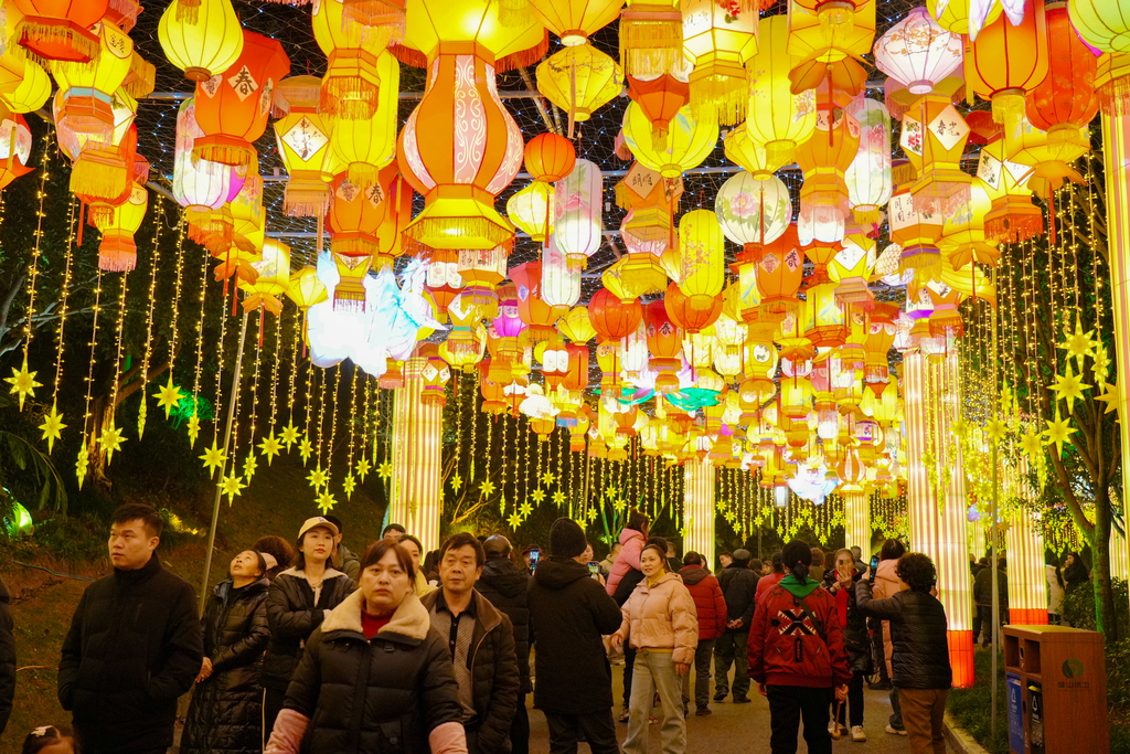 1月29日，市民在秀湖公园观赏新春灯饰