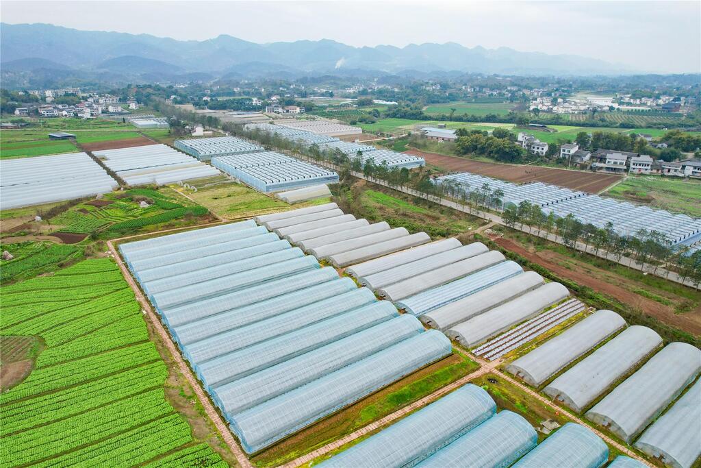 DJI_0228
