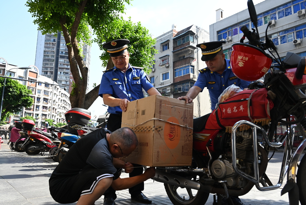 区城市管理局：以高标准精细化引领城市品质(370740)-20241014094955