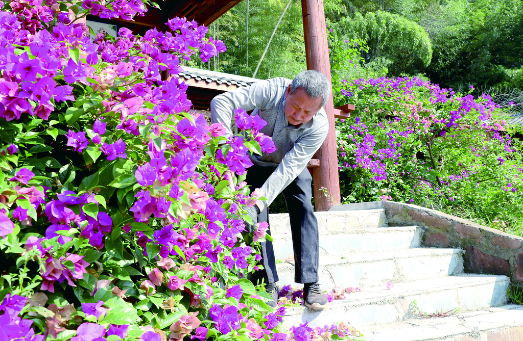 村民修剪门前的花草