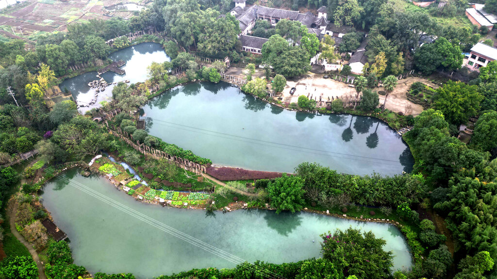 来凤街道：奋力推进巴渝和美乡村建设 为乡-FZ0039377113