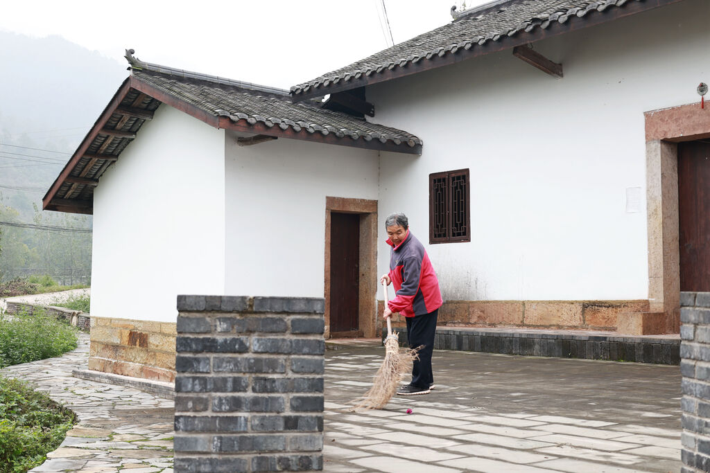 来凤街道：奋力推进巴渝和美乡村建设 为乡-FZ0039377131