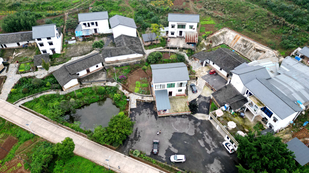 来凤街道：奋力推进巴渝和美乡村建设 为乡-FZ0039377127