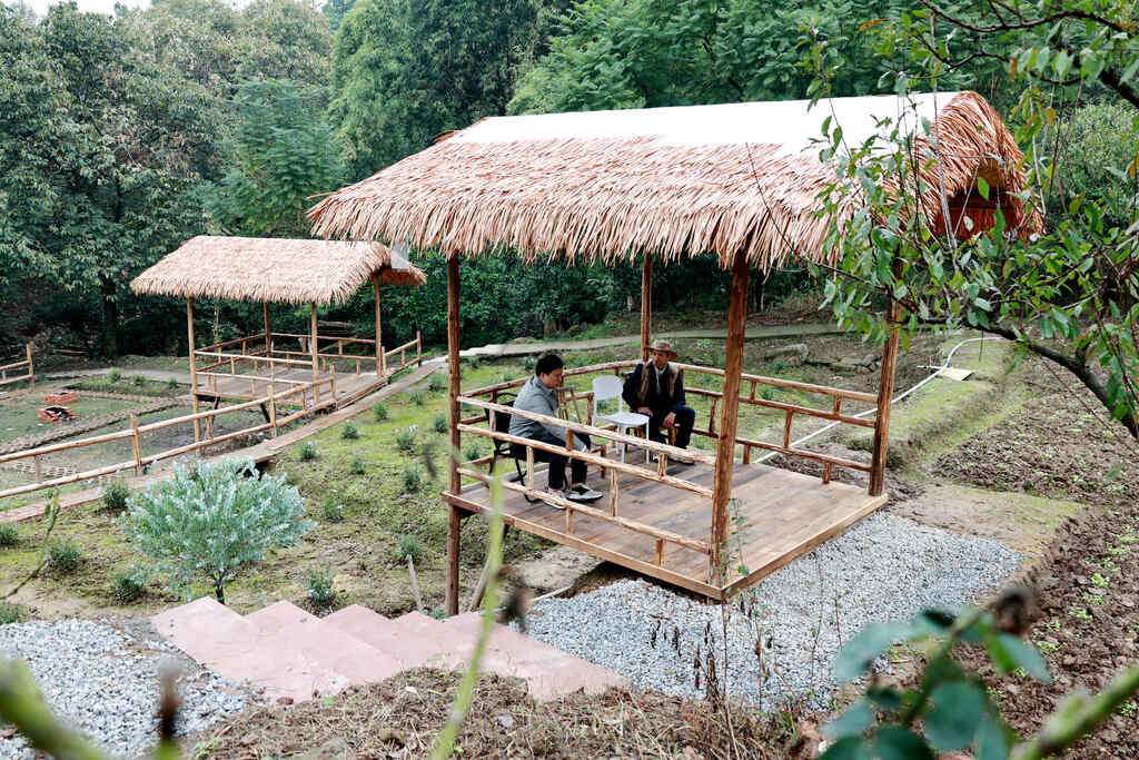 来凤街道：奋力推进巴渝和美乡村建设 为乡-FZ0039377095