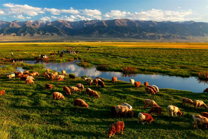 巴里坤草原盛景。巴里坤哈萨克自治县委宣传部供图