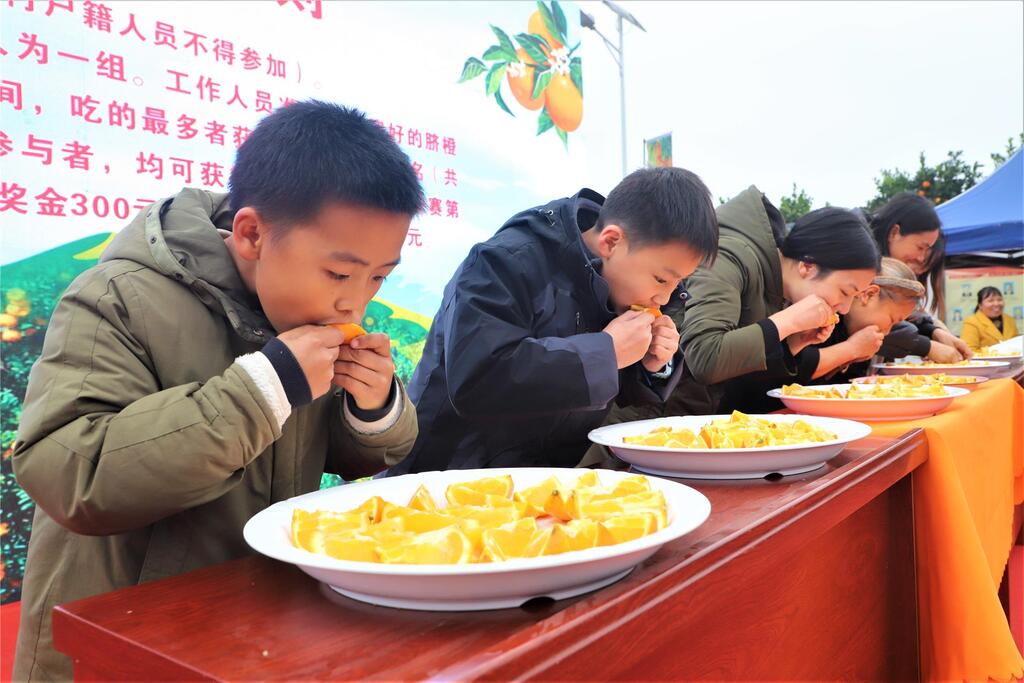 脐橙节趣味比赛