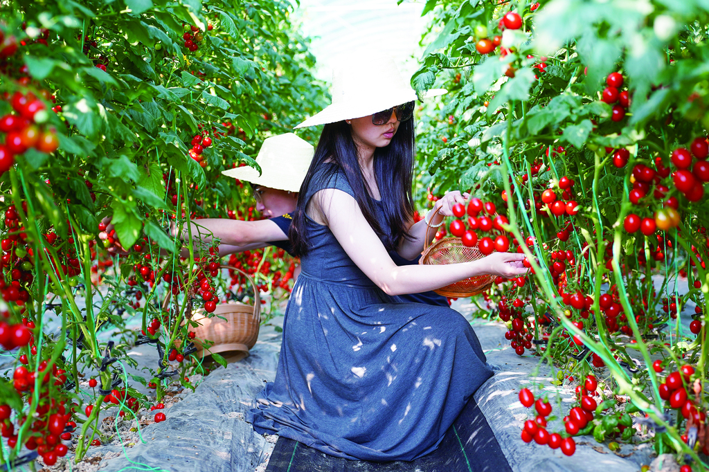 （专版）六月瓜果飘香 璧山的夏天带点“甜-