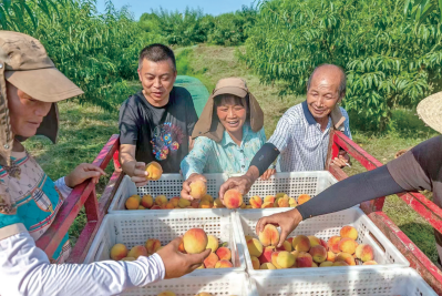 wechat_2025-09-23_082918_999