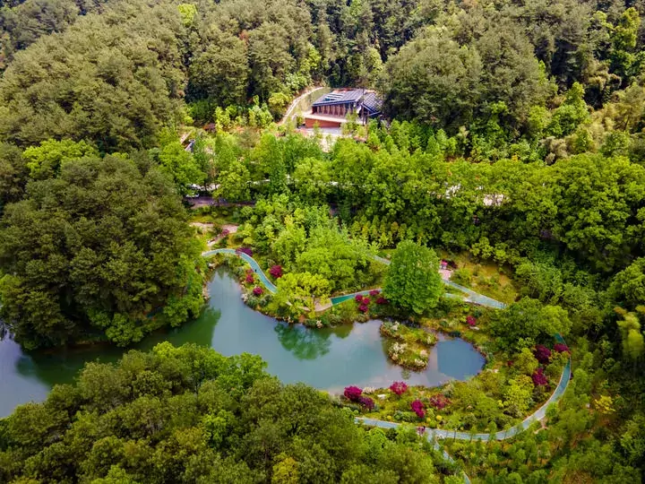 黛湖经过拆除违建、生态修复,如今水清岸绿,成为游客市民休闲好去处(2020年10月摄)。.jpg