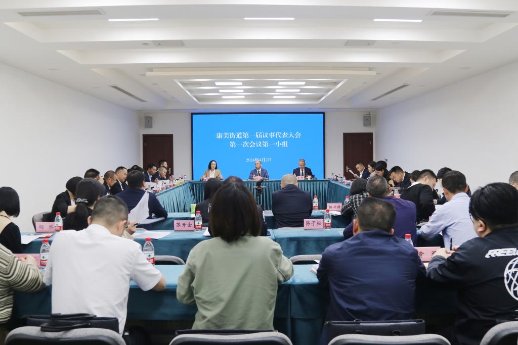 分组讨论上，与会议事代表结合实际为街道建设发展建言献策 (2)