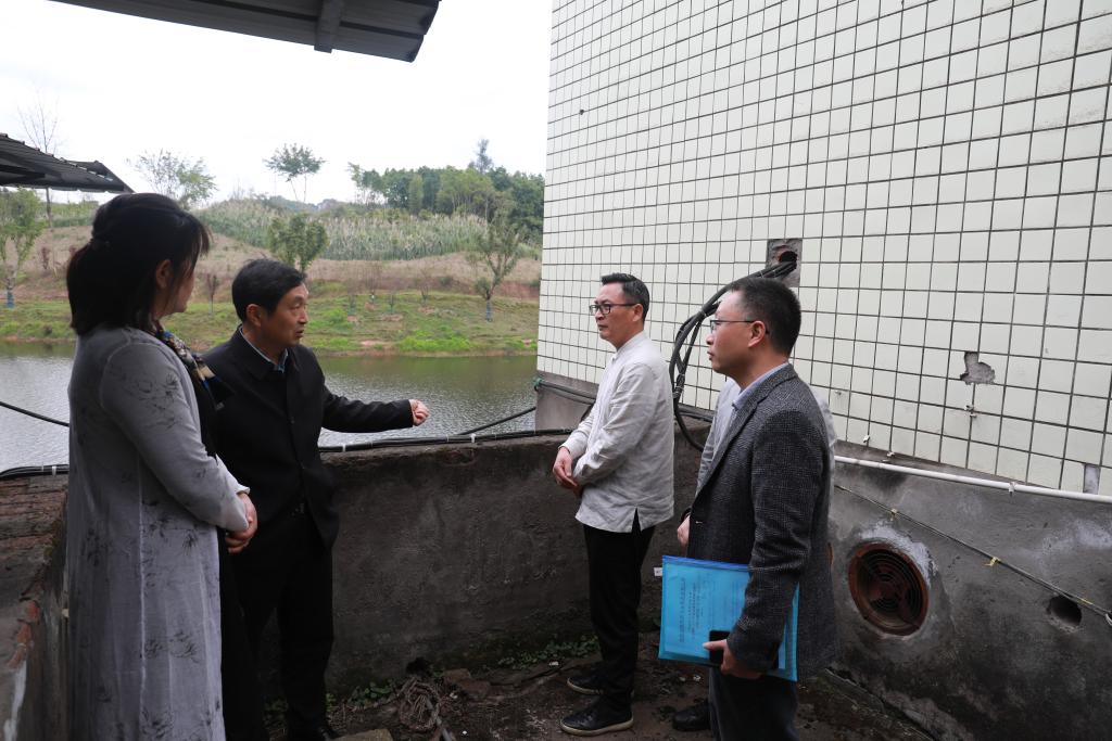 新桥水库