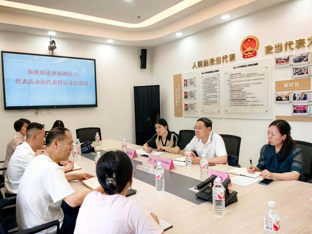 代表接访群众