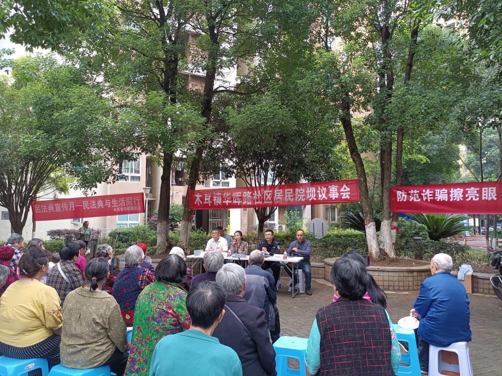 区、镇人大代表在小区院坝接待选民