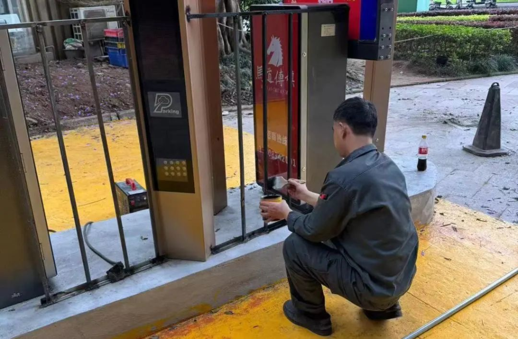图片3