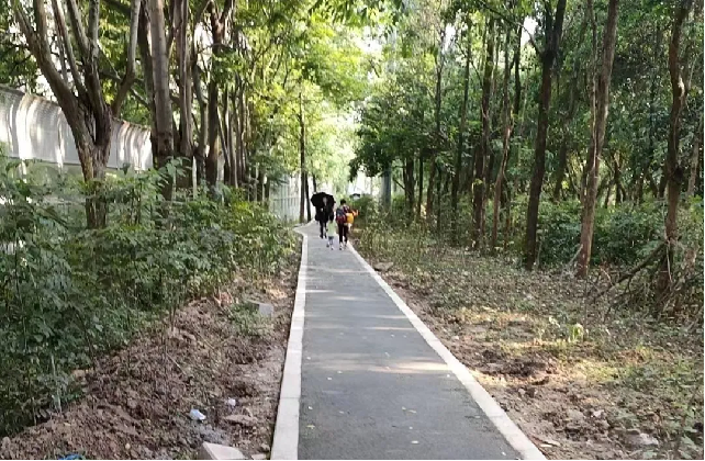 图片3