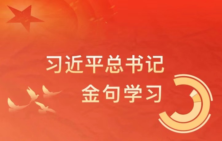【学习进行时】习近平总书记金句学习