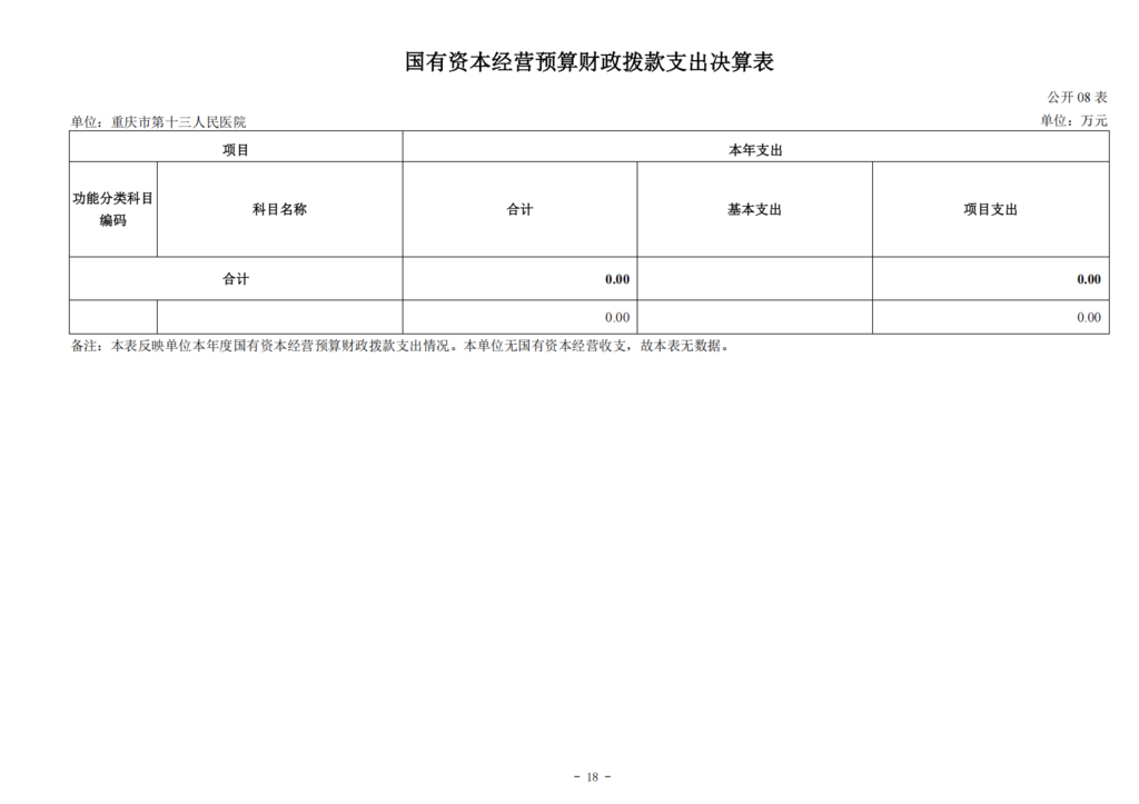 330043-重庆市第十三人民医院_决算公开说明及公开报表0828_18