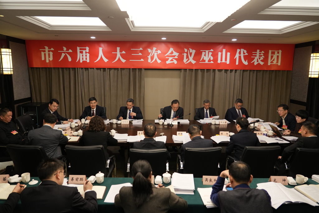巫山代表团继续审议市政府工作报告。向君玲 摄