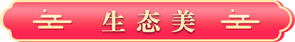 生态美