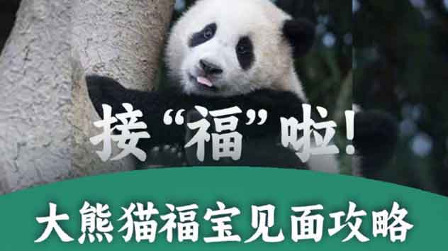 配图尺寸