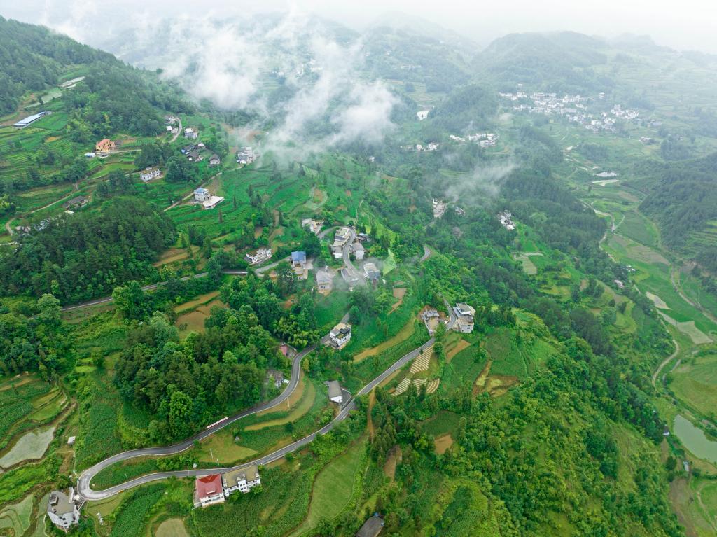 在桐楼乡，一条条农村公路穿梭在田园、村庄，绘就了一幅幅美丽的乡村新画卷。 (1)