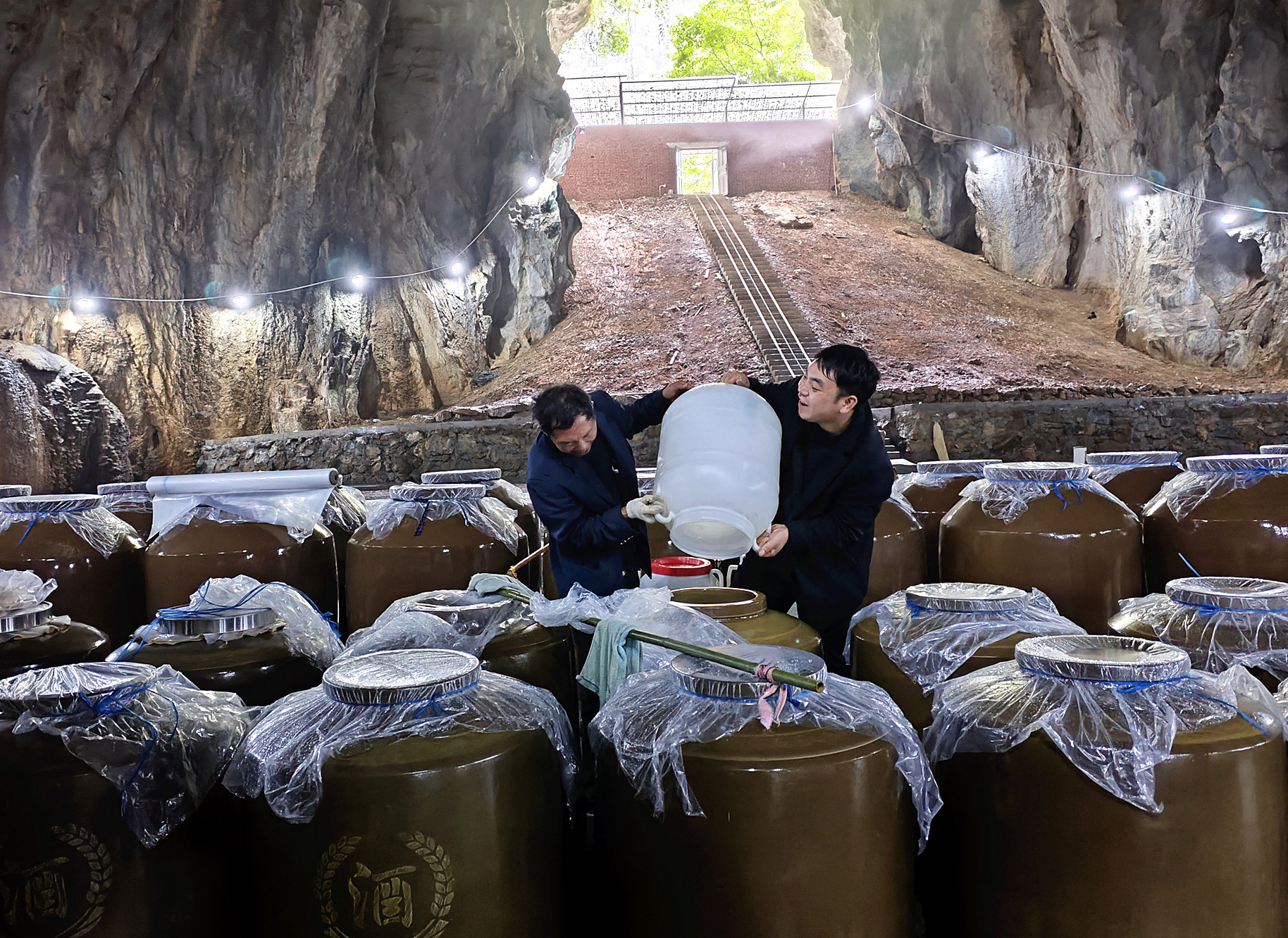 金铃乡打造洞藏酒基地壮大村集体经济