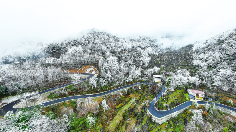 微信图片_20241216102454