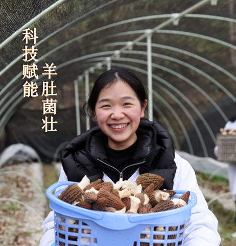 8ea0d953810efaab8505c6bfef99f9bfa0b110b6_副本_副本