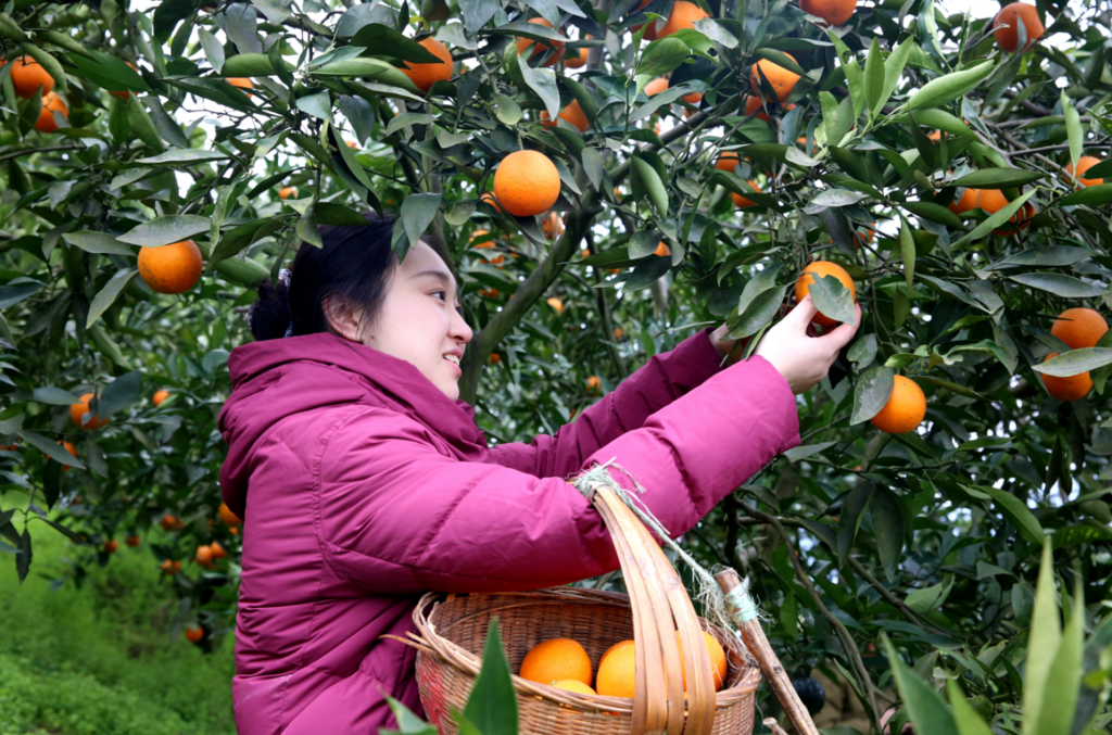 QQ截图20250221103315