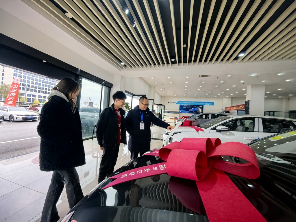 顾客选购车。