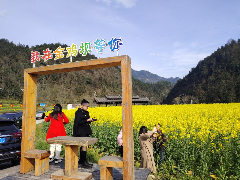 太极镇：乡村美景入画来 (分离图)443(1203482)-20250410102426
