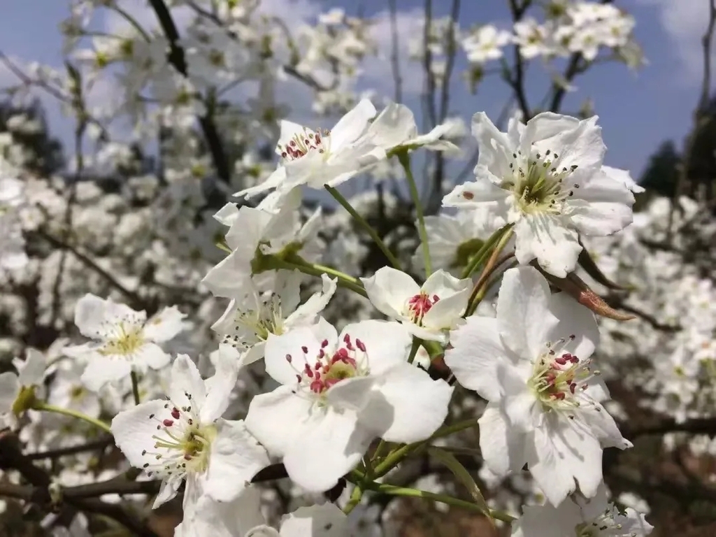 石溪