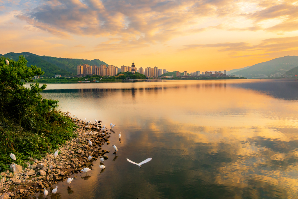 微信图片_20250529104741